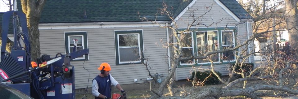 Tree down? We can help, 24/7!